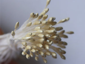 1mm MICRO PEARLIZED POINTED TIP STAMEN