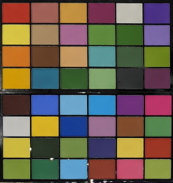 PALETTE PETAL DUST SET OF 48